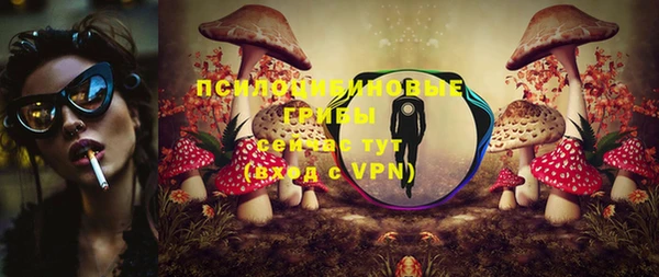 mdma Горнозаводск