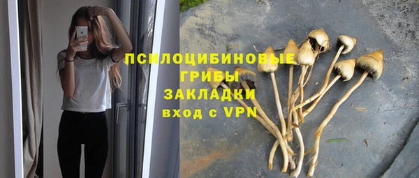 mdma Горнозаводск